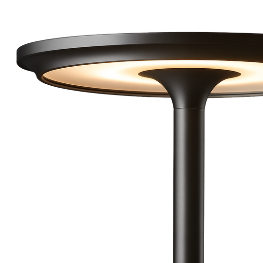 Eloria Cordless Rechargeable Table Lamp