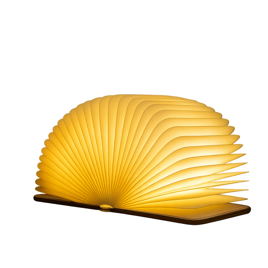 Talith Foldable LED Book Lamp