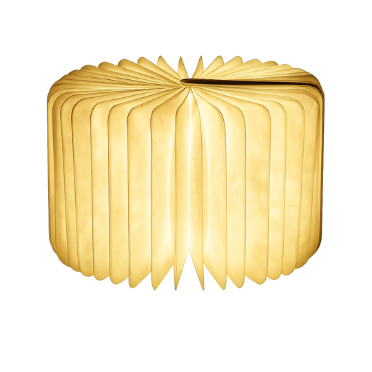 Talith Foldable LED Book Lamp